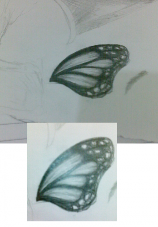 Creation of Monarch Butterfly: Step 7